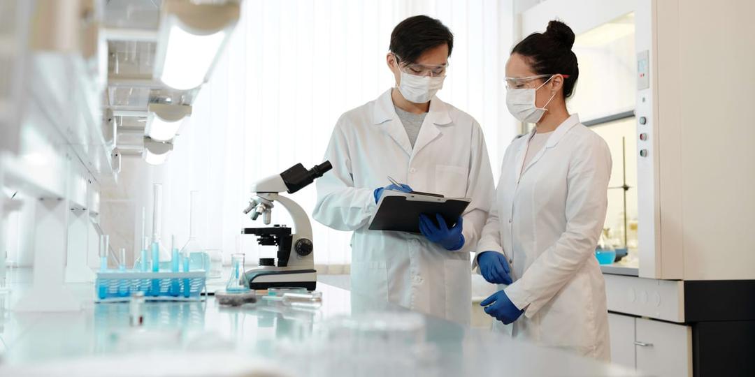 Compétences organisationnelles